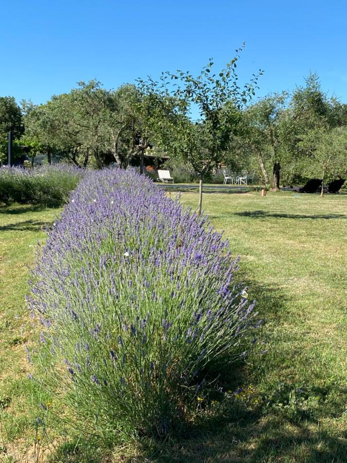 Agriturismo La Cervaiola Piccola Dimora Di Campagna Порано Экстерьер фото
