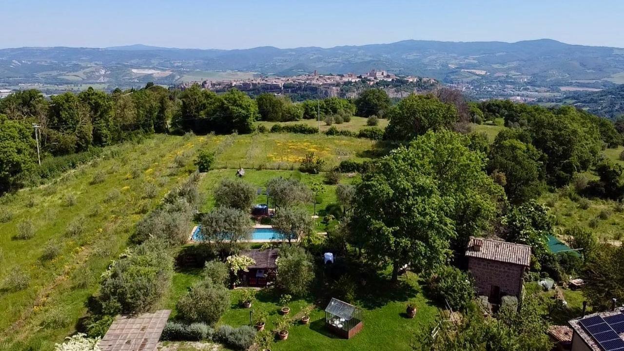 Agriturismo La Cervaiola Piccola Dimora Di Campagna Порано Экстерьер фото