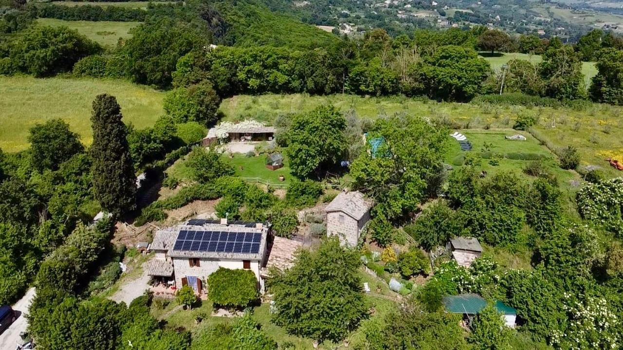 Agriturismo La Cervaiola Piccola Dimora Di Campagna Порано Экстерьер фото