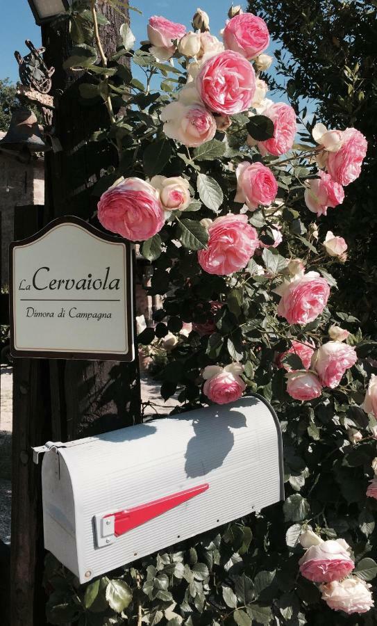 Agriturismo La Cervaiola Piccola Dimora Di Campagna Порано Экстерьер фото