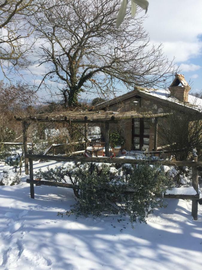 Agriturismo La Cervaiola Piccola Dimora Di Campagna Порано Экстерьер фото